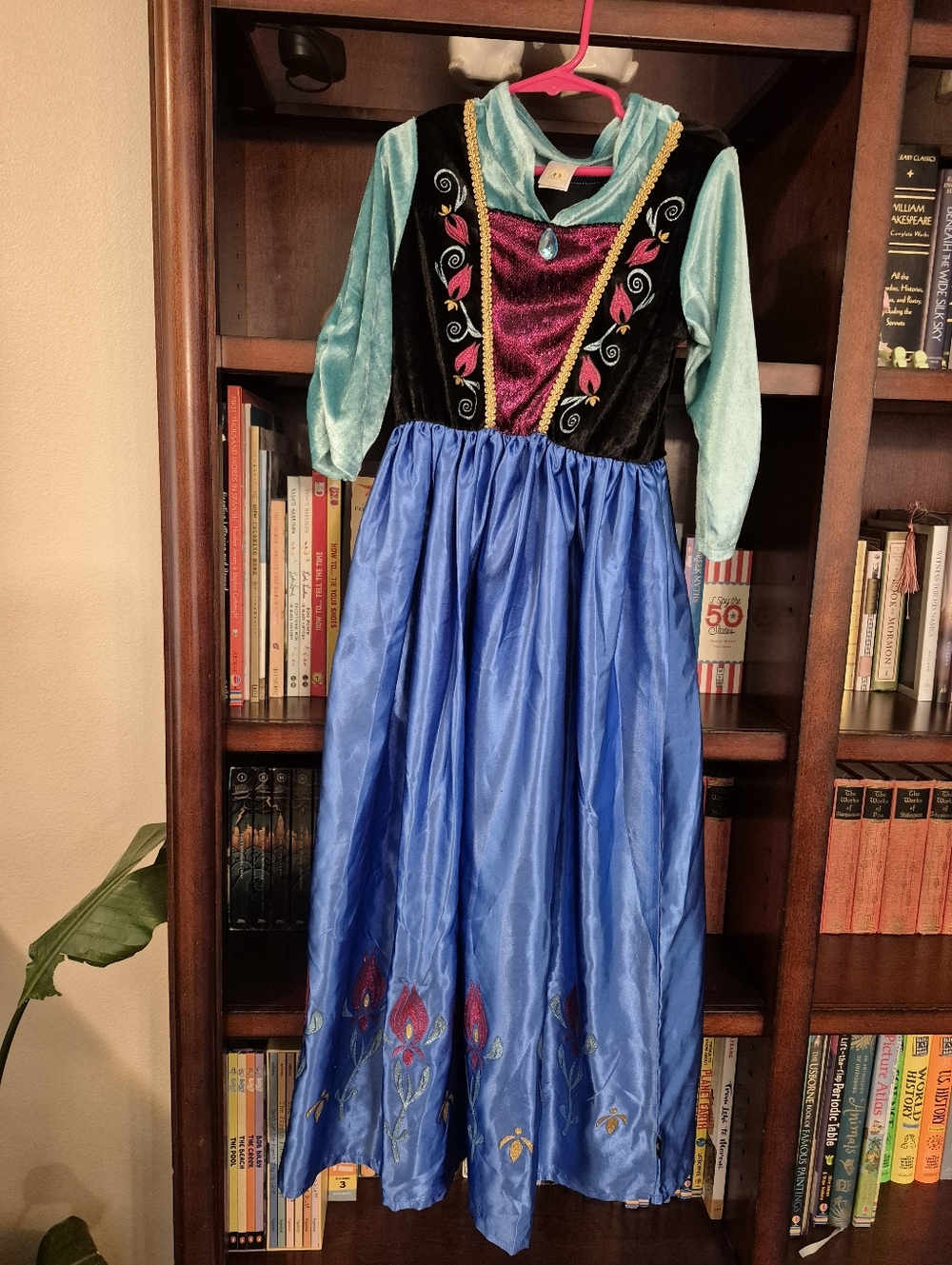 Little Adventures Alpine Princess Dress
